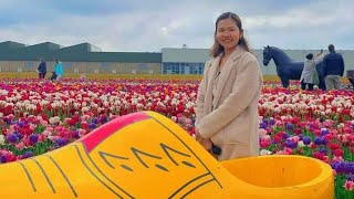 THE TULIP BARN 2024 Hillegom Netherlands springseason europetravel amsterdamsinglemomjourney [upl. by Trini445]