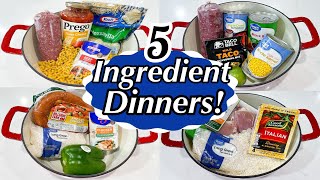 5 TASTY ONE POT MEALS  5INGREDIENT RECIPES  DINNERS MADE FAST amp EASY  JULIA PACHECO [upl. by Cis]