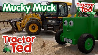 Mucky Muck 🚜  New Tractor Ted Trailer  Tractor Ted Official Channel [upl. by Laro]