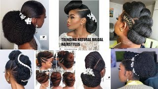 THESE NATURAL HAIR BRIDAL HAIRSTYLES ARE BEAUTIFUL 🥰😍 OGC [upl. by Aihsrop]