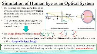 Emmetropia Vs Vision Defects  الفيزياء الحيوية [upl. by Lowney]