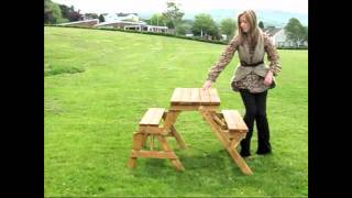 Wood Picnic Bench and Table  2 in 1 [upl. by Neenaej]