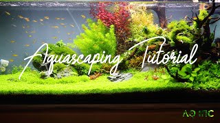 Step by Step Aquascaping Tutorial 200L [upl. by Iahs429]