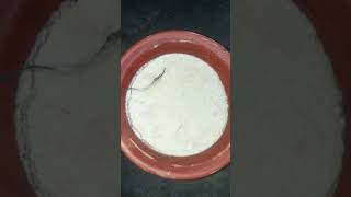 Home made Dahi  Misti Doi Recipe Shorts [upl. by Assiroc262]