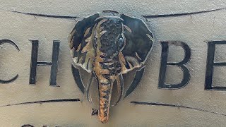 HOTEL REVIEW  CHOBE GAME LODGE Luxury African Safari Room Tour Botswana Africa [upl. by Ariaek]