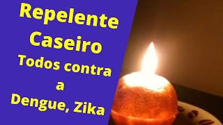 Repelente caseiro simples e eficiente contra pernilongo mosquito da dengue borrachudo muriçoca 2021 [upl. by Ritter]