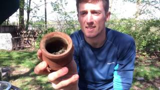 Yaupon Holly vs Yerba Mate  Vlog 25 [upl. by Ayikahs]