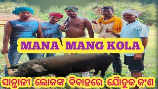 Santali marriage ro Mana mang kola 😂 New Santali video 2024odiavlog santalivideo2024 santali [upl. by Cointon715]