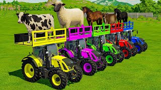 TRANSPORTING COWS SHEEPS HORSES BULLS GOATS amp TRACTORS WITH MAN TRUCKS  Farming Simulator 22 [upl. by Acsisnarf303]