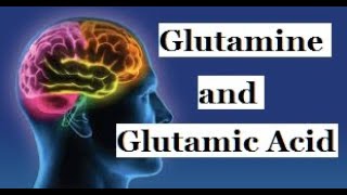 GLUTAMINE AND GLUTAMIC ACID DOES [upl. by Odnolor]