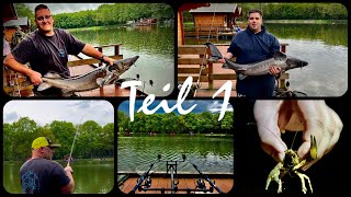 Ein Angelurlaub im „Angelpark zur Grafenmühle“ TEIL 1  Trout Hunters WeserEms [upl. by Wohlen846]