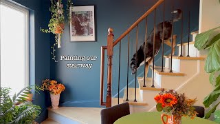 Painting my stair hallway blue  Farrow amp Ball Hague Blue  Home Takes Time S2 E5 [upl. by Lira247]