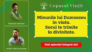 Minunile lui Dumnezeu în viața  Șocul te trimite la divinitate  Alex Insuratelu la Copacul Vietii [upl. by Laitselec]