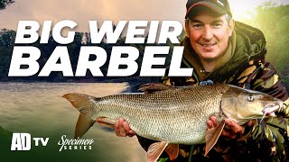 Big Weir Barbel  Specimen Series  Barbel Fishing [upl. by Irahcaz]