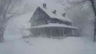 Lonely Mountain House During a Snowstorm  Snow storm sounds while sleeping  Howling wind [upl. by Thorvald]