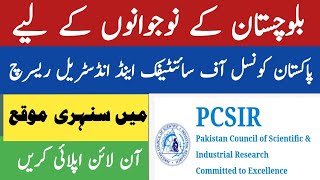 How to apply PCSIR jobs in Balochistan 2024  PCSIR scientific officer jobs in Quetta and Gawadar [upl. by Prince347]