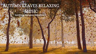 Autumn Leaves are Falling Down Relaxing Music  Beautiful Relaxing Music Soothing Autumn Melodies [upl. by Elsi509]