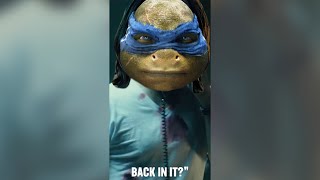 Would You Watch MiddleAged Mutant Ninja Turtles [upl. by Enytsirk]