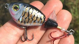 UltraLight Whopper Plopper  One Day Build to Catch [upl. by Ankeny]