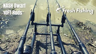 Nash Dwarf Rods  Tackle Review [upl. by Anierdna469]