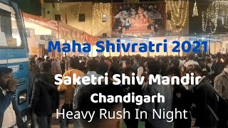 Happy MahaShivratri 🙏  Shiv Mandir Saketri Chandigarh  Panchkula  2024 [upl. by Fari]