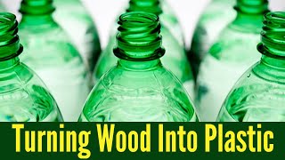 Turning Wood Into Plastic  Lignocellulosic Bioplastic [upl. by Areyk336]