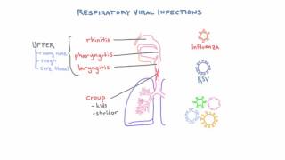 Respiratory Viruses  Clinical Presentations and Diagnosis [upl. by Petite384]