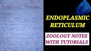 ENDOPLASMIC RETICULAM IN HINDIendoplasmicreticulam cellbiologynote zoologynotesbsc1styear [upl. by Erdnassak]