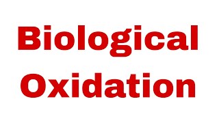 7th Biochemistry Lecture  Biological Oxidation [upl. by Mayeda]