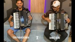 Solos do trio parada dura e Gino e Geno modao musica sertanejo sanfona [upl. by Zobias946]