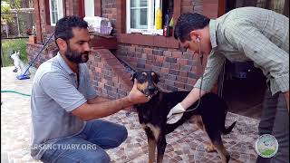 Rescuing several pets that were being sold in a bird shop in Iran [upl. by Kohcztiy]