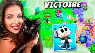 MON CHAT MAIDE À FAIRE TOP 1 SUR BRAWL STARS On est trop fort [upl. by Becht]