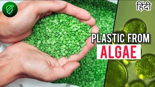 Bioplastic is a future plastic   shorts innovations [upl. by Aiuqal]