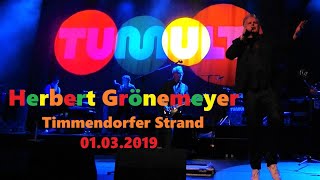 Herbert Grönemeyer LIVE  TUMULT Tour  Timmendorfer Strand 01032019 [upl. by Fletcher600]