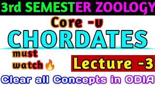 🎯for 2 amp 3rd SemesterCOREV RETROGRESSIVE METAMORPHOSIS 💯  Full Concept Clear ବୁଝନ୍ତୁ ଓଡିଆରେ🔥 [upl. by Burgwell]