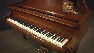 Steinway M 57quot Grand Piano 311666 [upl. by Ymerrej196]