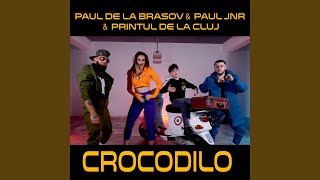 Crocodilo feat Paul Jnr amp Printul de la Cluj [upl. by Elleira]