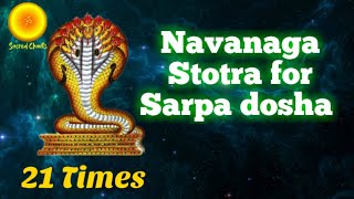 Navanaga Stotra for Sarpa dosha Nagadosha kalasarpa dosha nivarana mantraAnantham Vasukim 21 times [upl. by Hanover72]