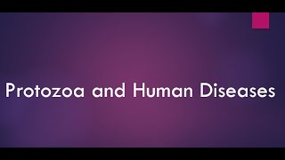 Protozoa and Human Diseases I Malaria I African Trypanosomiasis I Leishmaniasis I Toxoplasmosis [upl. by Nurat802]