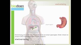 Biodoen  eiwit vertering 1 van 4 [upl. by Ackerley]