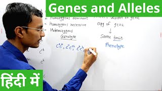 Genes and Alleles in Hindi [upl. by Wrdna]