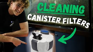 Easy Canister Filter Setup Cleaning and Maintenance [upl. by Ayekim]