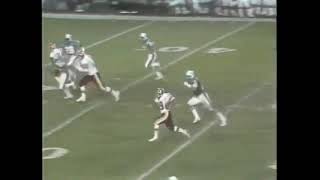 Super Bowl XVII  Miami Dolphins vs Washington Redskins January 30th 1983 Highlights [upl. by Alanson]