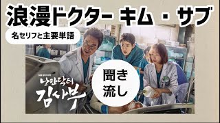 リエン韓国語298 「聞き流し」韓国ドラマ「浪漫ドクターキム・サブ」韓ドラ名セリフ  リエンハングル [upl. by Berardo]