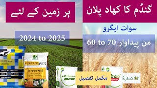 Fertilizer plan for wheat crop 2024 to 2025  Potential yield 60 to 70 Mann  Kissan Ghar  price [upl. by Zerdna]