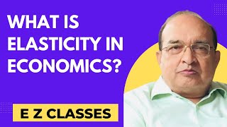 What is Elasticity in Economics [upl. by Niamrahc]