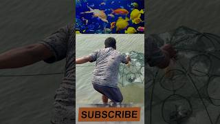 కొత్తగా try చేసా fishing viral fish shorts short shortsfeed viralshorts youtubeshorts [upl. by Kralc]