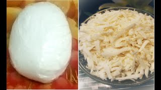 মাত্র ২টি উপকরণে মজারেলা চিজ তৈরির রেসিপি   Homemade Mozzarella Cheese Recipe With 2 Ingredients [upl. by Asilla]