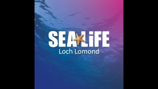 Sea Life Centre  Loch Lomond  Balloch  Scotland [upl. by Ainevuol]