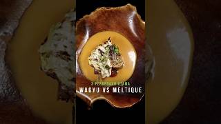 3 Perbedaan Utama Wagyu VS Meltique William Pakpahan amp Wilson Nugraha tgiw [upl. by Zsamot]